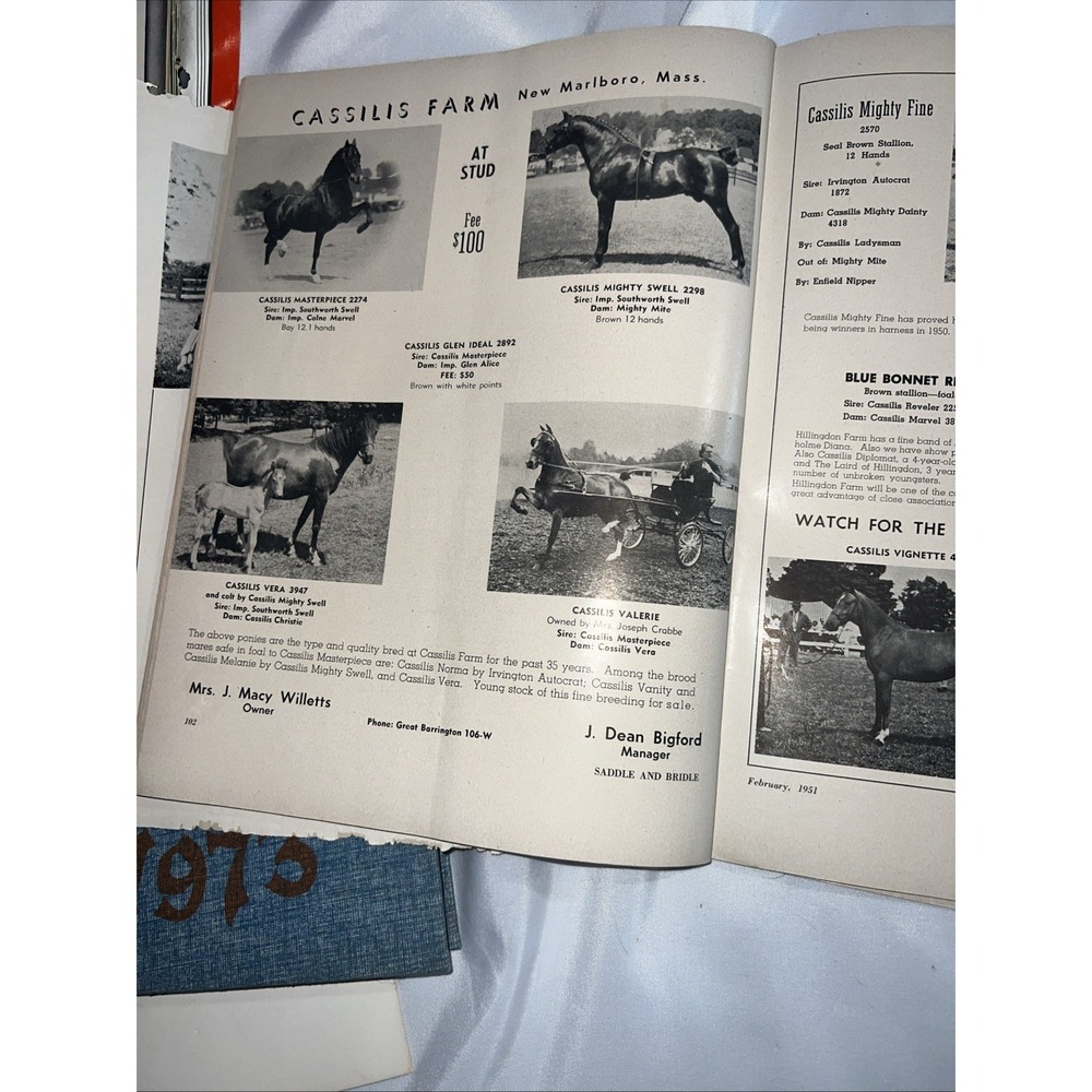 Saddle and Bridle Magazine February 1951 Vol XXIV - Picture 6 of 7